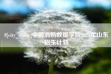 德阳中国消防救援学院2021年山东招生计划