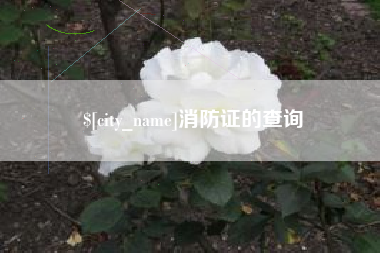 德阳消防证的查询