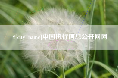 德阳中国执行信息公开网网