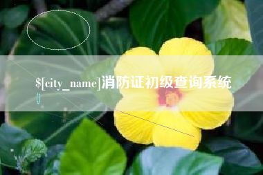 德阳消防证初级查询系统