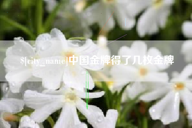 德阳中国金牌得了几枚金牌