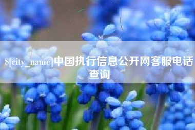 德阳中国执行信息公开网客服电话查询
