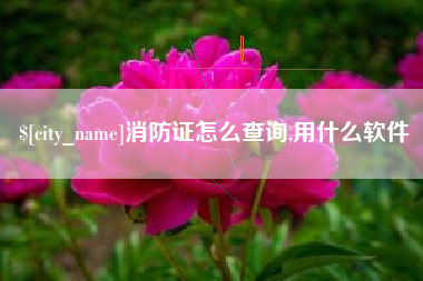 德阳消防证怎么查询,用什么软件