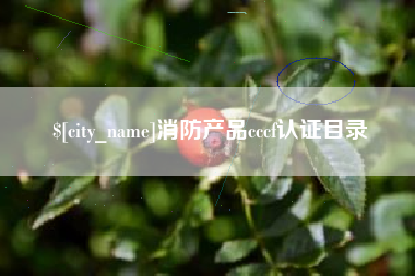 德阳消防产品cccf认证目录