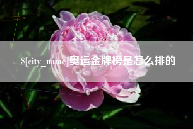 德阳奥运金牌榜是怎么排的