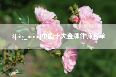 德阳中国十大金牌律师名单