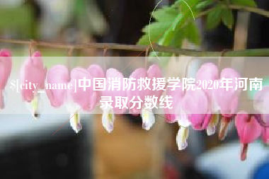 德阳中国消防救援学院2020年河南录取分数线