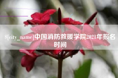 德阳中国消防救援学院2021年报名时间