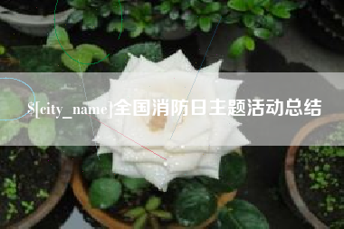 德阳全国消防日主题活动总结