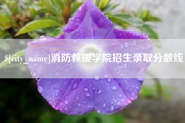 德阳消防救援学院招生录取分数线