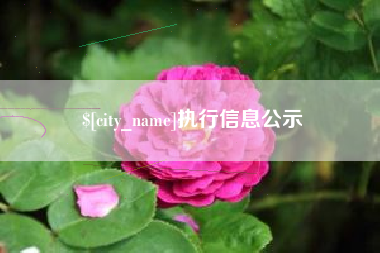 德阳执行信息公示