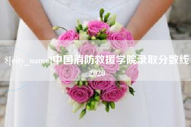 德阳中国消防救援学院录取分数线2020