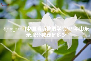 德阳中国消防救援学院2021年山东录取分数线是多少