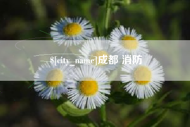 德阳成都 消防