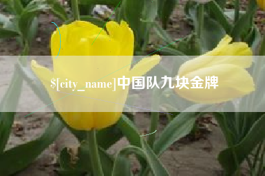 德阳中国队九块金牌