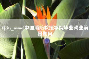 德阳中国消防救援学院毕业就业前景如何