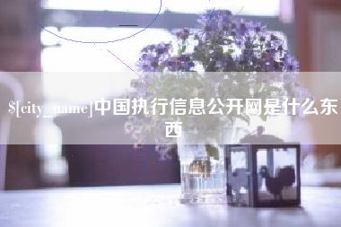 德阳中国执行信息公开网是什么东西
