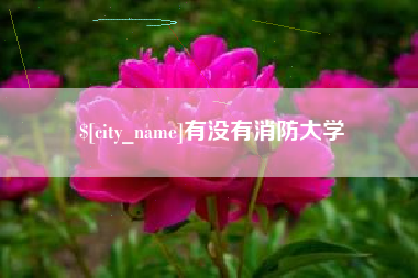 德阳有没有消防大学