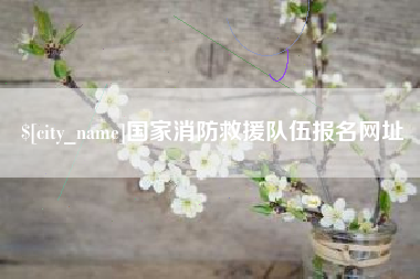 德阳国家消防救援队伍报名网址