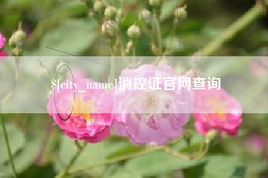 德阳消控证官网查询