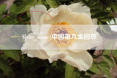 德阳中国第九金回放