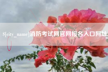 德阳消防考试网官网报名入口网址