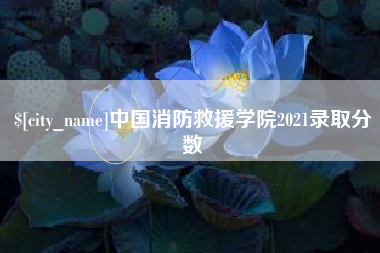 德阳中国消防救援学院2021录取分数