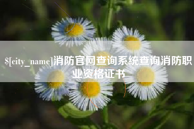 德阳消防官网查询系统查询消防职业资格证书