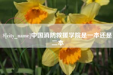 德阳中国消防救援学院是一本还是二本
