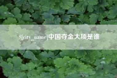 德阳中国夺金大项是谁