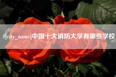德阳中国十大消防大学有哪些学校
