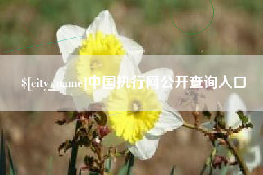 德阳中国执行网公开查询入口