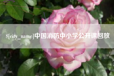 德阳中国消防中小学公开课回放
