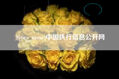 德阳中国执行信息公开网