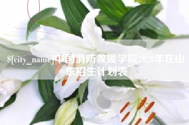 德阳中国消防救援学院2020年在山东招生计划表
