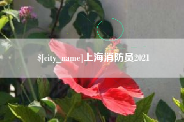 德阳上海消防员2021