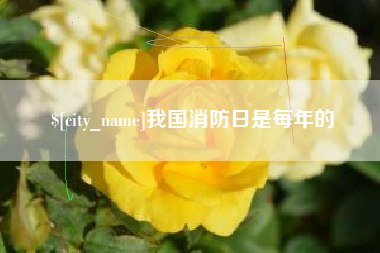 德阳我国消防日是每年的