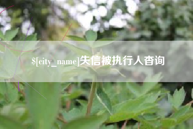 德阳失信被执行人杳询