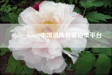 德阳中国消防救援招录平台