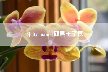 德阳邱县王子磊