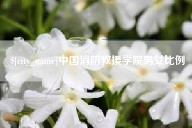 德阳中国消防救援学院男女比例