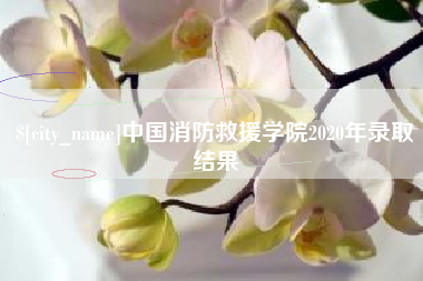 德阳中国消防救援学院2020年录取结果