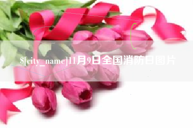 德阳11月9日全国消防日图片