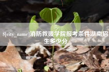 德阳消防救援学院报考条件湖南招生多少分