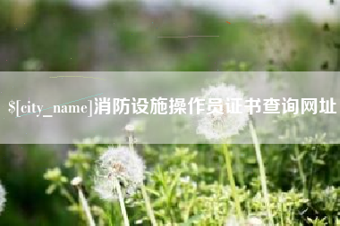 德阳消防设施操作员证书查询网址