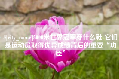 德阳5000米世界冠军穿什么鞋-它们是运动员取得优异成绩背后的重要“功臣”