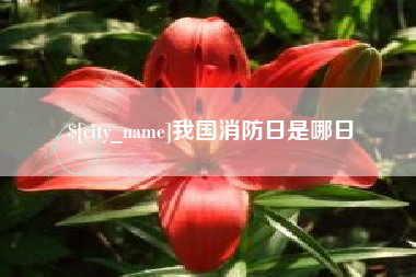德阳我国消防日是哪日