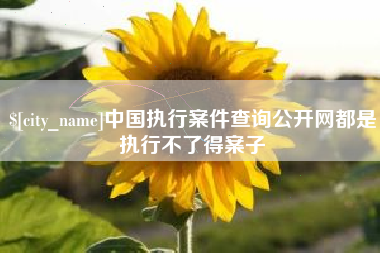 德阳中国执行案件查询公开网都是执行不了得案子