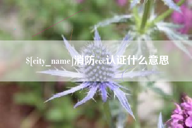 德阳消防ccc认证什么意思