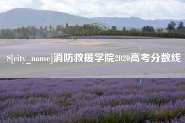 德阳消防救援学院2020高考分数线